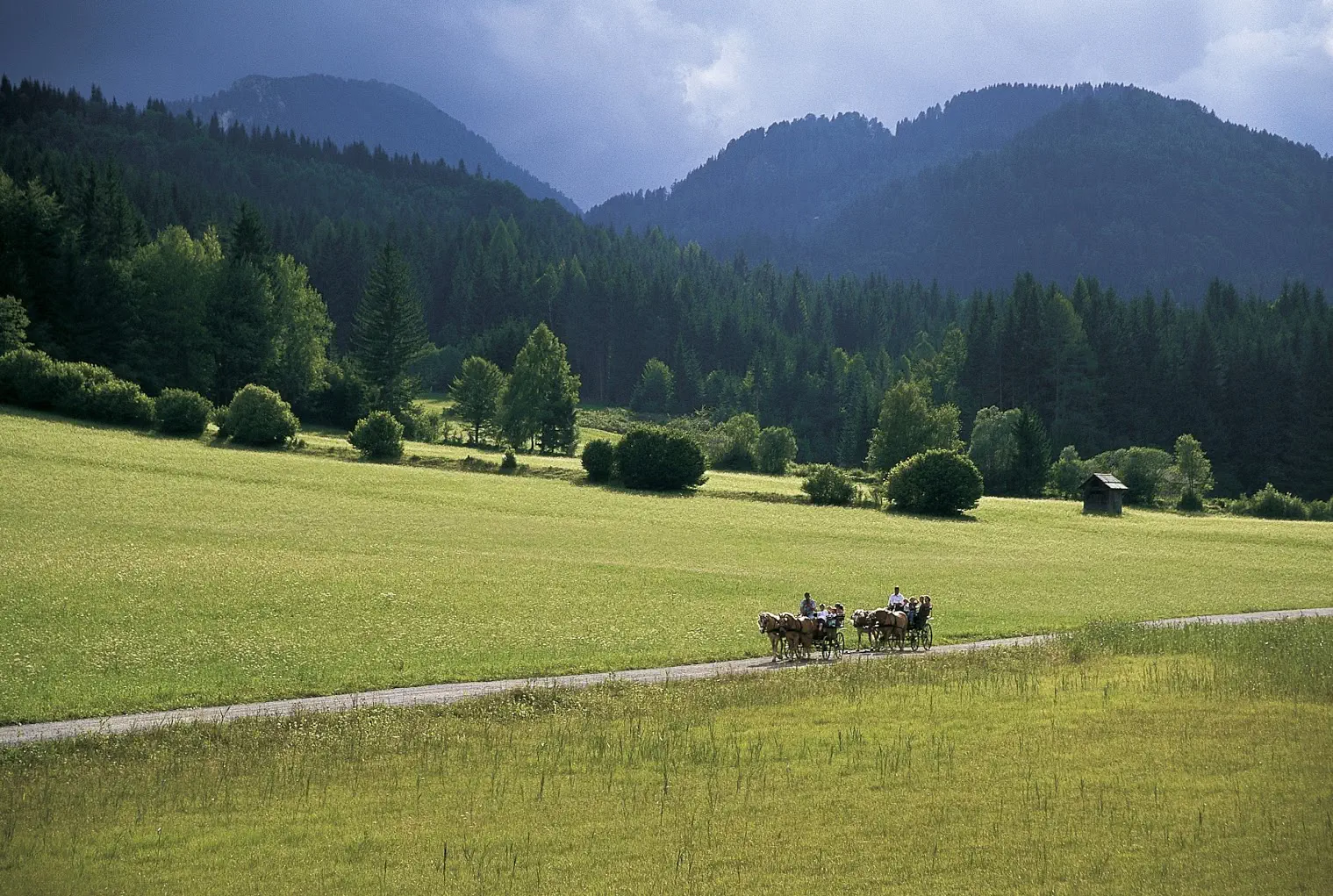 Kutschenfahren im Somemr am Weissensee